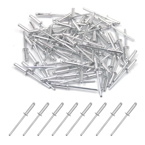 BESTYCHAO 100 Stück 3.2 x 12.7mm Aluminium-Blindnieten, Pop-Nieten mit offenem Ende, Packung mit 100 (Silber) von BESTYCHAO
