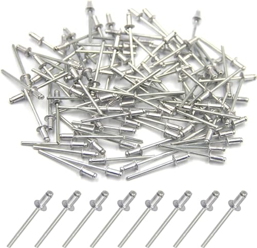 BESTYCHAO 100 Stück 4 x 8mm Aluminium-Blindnieten, Pop-Nieten mit offenem Ende, Packung mit 100 (Silber) von BESTYCHAO