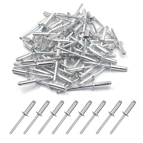 BESTYCHAO 100 Stück 4.8 x 16mm Aluminium-Blindnieten, Pop-Nieten mit offenem Ende, Packung mit 100 (Silber) von BESTYCHAO