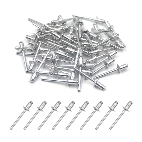 BESTYCHAO 100 Stück 4.8 x 8mm Aluminium-Blindnieten, Pop-Nieten mit offenem Ende, Packung mit 100 (Silber) von BESTYCHAO