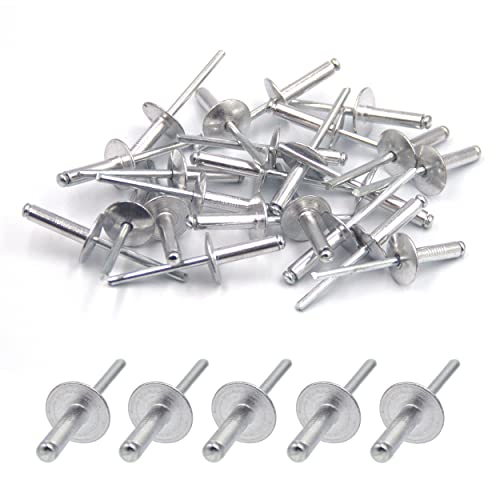 BESTYCHAO 50 Stück Aluminium-Blindnieten mit großem Flansch 4,8mm x 20mm, 50er-Pack (Silber) von BESTYCHAO