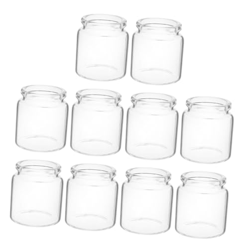 BESTonZON 10 Stück Mini Glasflaschen für Pflanzenvermehrung Transparente Terrarienflaschen aus Klarem Glas Mini vasen für Micro landschaften und Tischdeko für Sukkulenten und Hydrokultur von BESTonZON