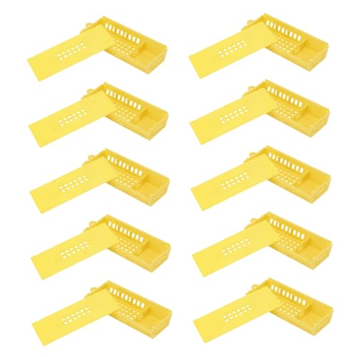 BESTonZON 10 Stück Teiliges Bienenkäfig für Imker Werkzeug für Bienenhaltung Sicherer Käfig für Bienenköniginnen Einfach zu Bedienen und Hochwertiges Imkereizubehör BESTonZON 10 Stück Teiliges Bienenkäfig für Imker Werkzeug für Bienenhaltung Sicherer Käfig für Bienenköniginnen Einfach zu Bedienen und Hochwertiges Imkereizubehör von BESTonZON