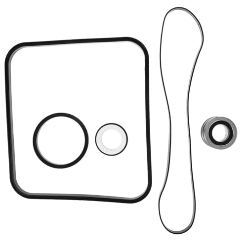 BESTonZON 1Satz Dichtungsring für Poolpumpe Teiliges für Einfache DIY Installation und Effizient für Poolbesitzer zur Leistungsoptimierung Pumpe von BESTonZON