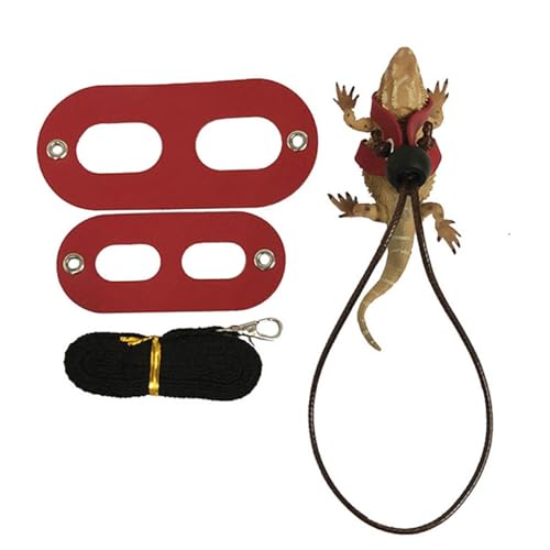 BESTonZON 2 Satz Teiliges Reptilien Geschirr Verstellbarem Nylon brustgeschirr und Robustem Führseil Leichtes Sicheres Zubehör für Eidechsen und Kleine Haustiere Tragbar und Langlebig BESTonZON 2 Satz Teiliges Reptilien Geschirr Verstellbarem Nylon brustgeschirr und Robustem Führseil Leichtes Sicheres Zubehör für Eidechsen und Kleine Haustiere Tragbar und Langlebig von BESTonZON