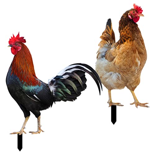 BESTonZON 2 Stücke Gartenstecker Gartenfigur Huhn Hühner Figur Gartendeko Tiere Stecker Dekofigur Osterdeko Statue Ostern Deko Figuren Acryl Zaunhocker Garten Statue Hof Dekoration BESTonZON 2 Stücke Gartenstecker Gartenfigur Huhn Hühner Figur Gartendeko Tiere Stecker Dekofigur Osterdeko Statue Ostern Deko Figuren Acryl Zaunhocker Garten Statue Hof Dekoration von BESTonZON