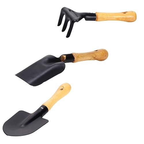BESTonZON 3 Stück Teiliges Gartenwerkzeug Mini Schaufeln und Harke für Bonsai und Blumentopfpflege Pädagogisches Zubehör für Junge BESTonZON 3 Stück Teiliges Gartenwerkzeug Mini Schaufeln und Harke für Bonsai und Blumentopfpflege Pädagogisches Zubehör für Junge von BESTonZON