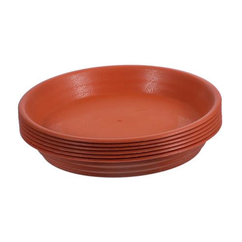 BESTonZON 6 Stück Teiliges Pflanzentopf Dicker Kunststoff Rötlich terrakottafarbene Pflanzenschalen Wasserauffangend Robust für Innen Außenbereich Pflanzentopf Basis BESTonZON 6 Stück Teiliges Pflanzentopf Dicker Kunststoff Rötlich terrakottafarbene Pflanzenschalen Wasserauffangend Robust für Innen Außenbereich Pflanzentopf Basis von BESTonZON