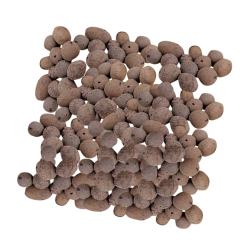 BESTonZON Ceramsite Stein Pflanzgranulat Wasserspeicher für Garten Blähton Bodendecker für Topfpflanzen Beetsteine Gartendeko Atmungsaktiv Wasserhaltend Luftreinigend Körnung BESTonZON Ceramsite Stein Pflanzgranulat Wasserspeicher für Garten Blähton Bodendecker für Topfpflanzen Beetsteine Gartendeko Atmungsaktiv Wasserhaltend Luftreinigend Körnung von BESTonZON