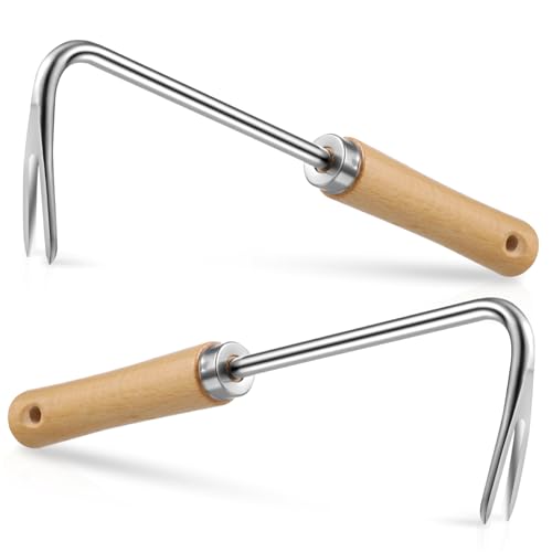 BESTonZON Edelstahl Unkrautstecher mit Holzgriff Robuster Garten Wurzeljäter für Einfaches Jäten und Umpflanzen Handliches Unkraut Entferner Werkzeug für Verschiedene Bodenarten BESTonZON Edelstahl Unkrautstecher mit Holzgriff Robuster Garten Wurzeljäter für Einfaches Jäten und Umpflanzen Handliches Unkraut Entferner Werkzeug für Verschiedene Bodenarten von BESTonZON