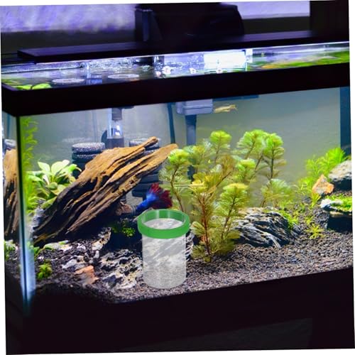 BESTonZON Fischbecken Brutbox Schwimmender Trenner Transparente Brutkammer mit Abteil für Guppy und Kleine Fische Wiederverwendbar Einfache Gute Wasserzirkulation Optimale Überwachung von BESTonZON
