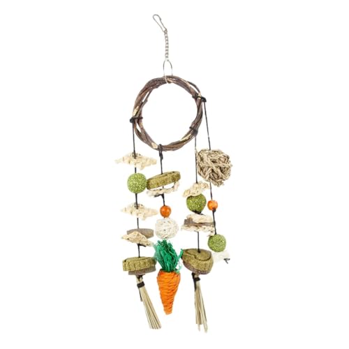 BESTonZON Hamster Kauspielzeug aus Natürlichem Apfelzweig Zahnpflegend und Sicher Feiner Hamster Chinchilla Kauspielstring für Nagetiere Stressabbauendes Haustierspielzeug von BESTonZON