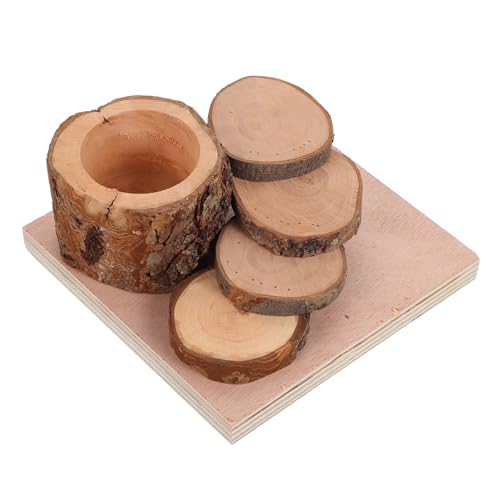 BESTonZON Hamster Kletterplattform aus Holz mit Futternapf Beißfestes Hamsterzubehör als Leiter und Standplattform Geeignet für Zwerghamster zur Beschäftigung und Futteraufnahme BESTonZON Hamster Kletterplattform aus Holz mit Futternapf Beißfestes Hamsterzubehör als Leiter und Standplattform Geeignet für Zwerghamster zur Beschäftigung und Futteraufnahme von BESTonZON