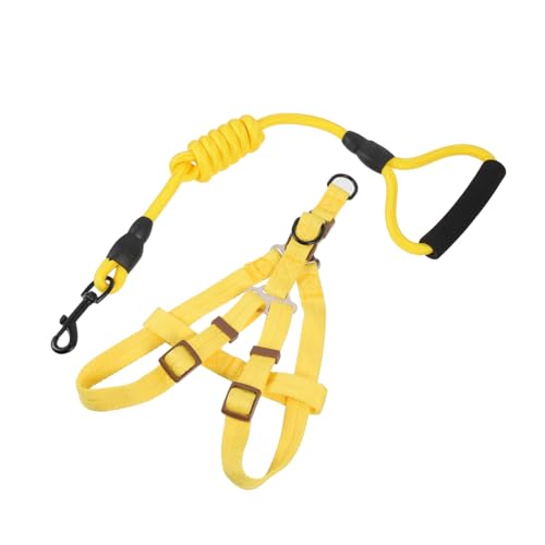 BESTonZON Hundegeschirr mit Leine Nylon Welpen Brustgeschirr Verstellbar Komfortabel für Spaziergänge Training Joggen für Kleine und Mittlere Hunde BESTonZON Hundegeschirr mit Leine Nylon Welpen Brustgeschirr Verstellbar Komfortabel für Spaziergänge Training Joggen für Kleine und Mittlere Hunde von BESTonZON
