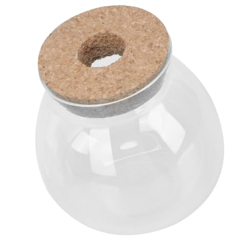 BESTonZON Kleines Terrarium aus Dekorative Pflanzflasche für Mikrolandschaften für Sukkulenten und Kreative Pflanzenarrangements Pflegeleicht und Langlebig von BESTonZON