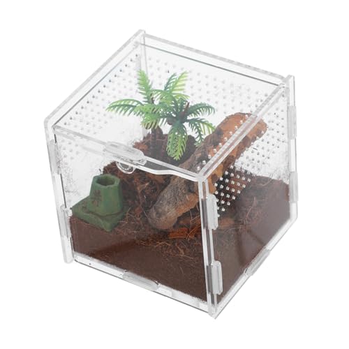 BESTonZON Kleines Transparentes Terrarium für Springspinnen und Kleine Reptilien Platzsparende Zuchtbox mit Klarem Gehäuse für Einfache Beobachtung und Fütterung zu Hause von BESTonZON