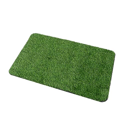 BESTonZON Künstlicher Grasteppich rutschfeste Bodenmatte Dickes Bodenpad Grün Kreative Fußmatte Für Badezimmer und Eingangsbereich Innen und Außen BESTonZON Künstlicher Grasteppich rutschfeste Bodenmatte Dickes Bodenpad Grün Kreative Fußmatte Für Badezimmer und Eingangsbereich Innen und Außen von BESTonZON