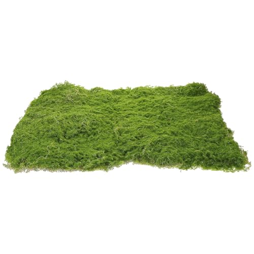 BESTonZON Künstlicher Realistisches Kunstgras für DIY Projekte Landschaftsdeko und Mikrolandschaften für Feengärten und Gartenverschönerung von BESTonZON
