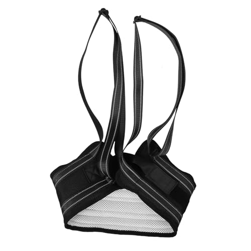 BESTonZON Leg Support Sling für Hunde Verstellbarer Tragbarer Pet Sling aus Strapazierfähigem Oxford Mobilitätsfördernd für Kleine und Große Senioren Hunde bei Treppen und Rehabilitation BESTonZON Leg Support Sling für Hunde Verstellbarer Tragbarer Pet Sling aus Strapazierfähigem Oxford Mobilitätsfördernd für Kleine und Große Senioren Hunde bei Treppen und Rehabilitation von BESTonZON