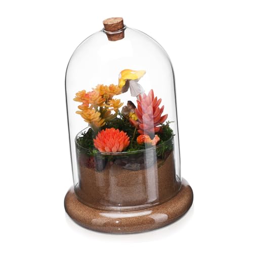 BESTonZON Mikrolandschaft Terrarium Glasglocke Dekorativer Glastopf für Tisch Büro für Sukkulenten Figuren Stabiler Stand Einzigartiges BESTonZON Mikrolandschaft Terrarium Glasglocke Dekorativer Glastopf für Tisch Büro für Sukkulenten Figuren Stabiler Stand Einzigartiges von BESTonZON
