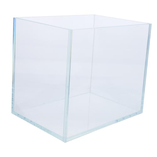 BESTonZON Mini Aquarium Glasfischbecken Transparent Betta Fisch Tank Modern Minimalistisch Platzsparend für Schreibtisch Büro Kleine Wohnung Dekoration BESTonZON Mini Aquarium Glasfischbecken Transparent Betta Fisch Tank Modern Minimalistisch Platzsparend für Schreibtisch Büro Kleine Wohnung Dekoration von BESTonZON