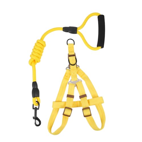 BESTonZON Puppy Harness mit Verstellbarem Hautfreundlichem Brustgeschirr und Nylon führleine für Große Hunde Komfortabel Langlebig zum Training und Sicheren Spaziergang BESTonZON Puppy Harness mit Verstellbarem Hautfreundlichem Brustgeschirr und Nylon führleine für Große Hunde Komfortabel Langlebig zum Training und Sicheren Spaziergang von BESTonZON