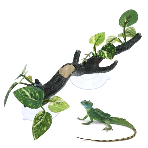 BESTonZON Reptilienzweig Zum Klettern Schlangenkletterast Für Terrariendekor Kunstharzhandwerk Reptilienpflanzen Froschaquariumzubehör Schlangenterrarienzubehör Terrariendekorationen Reptili von BESTonZON