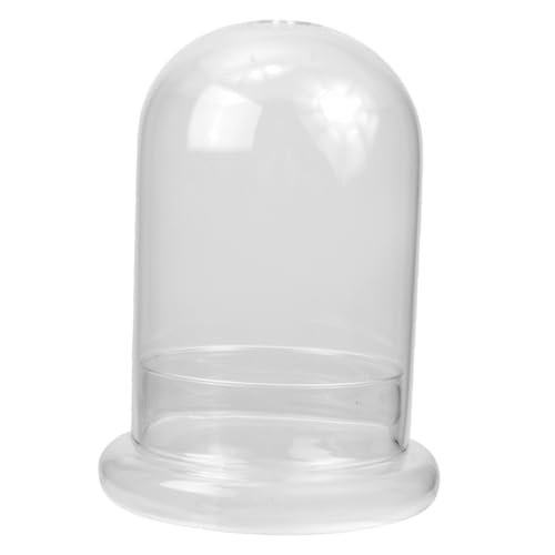 BESTonZON Transparente Mini landschaftsflasche mit Öffnung DIY Terrarium Glasbehälter für Dekorative Mikrolandschaften Ökologisches Glasgefäß zur Kreativen Raumdekoration von BESTonZON