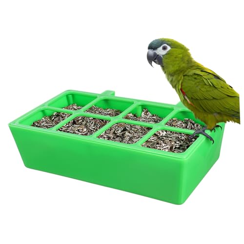 BESTonZON Vogelfuttersilo Grün Fach Futterstation Robust Wetterfest Große Kapazität Installieren Vogelkäfig Zubehör Futterhalter für Papageien Nymphensittiche Wellensittiche von BESTonZON