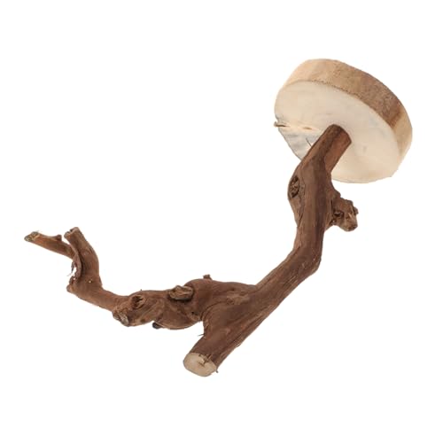 BESTonZON Vogelstange aus Holz mit Stabilem Sockel Rutschfester Papageien Trainingsstand Natürlicher AST als Sitzstange Langlebig Vielseitig für Käfig und Schreibtisch Geeignet BESTonZON Vogelstange aus Holz mit Stabilem Sockel Rutschfester Papageien Trainingsstand Natürlicher AST als Sitzstange Langlebig Vielseitig für Käfig und Schreibtisch Geeignet von BESTonZON