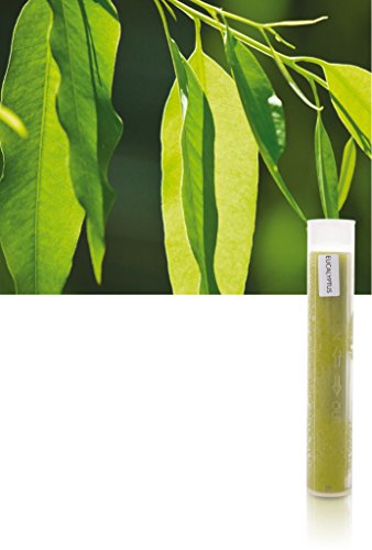 BETEC Aroma Sense Vitamin C-Gelfilter Eukalyptus für Duschkopf Aroma Sense SPA Max + SPA Perfect von BETEC