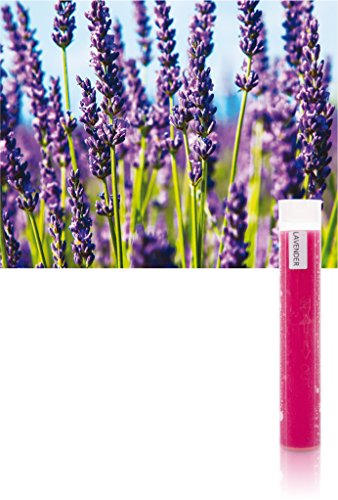 BETEC Aroma Sense Vitamin C-Gelfilter Lavendel für Duschkopf Aroma Sense SPA Max + SPA Perfect von BETEC