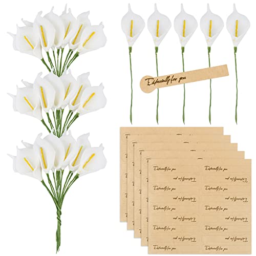 BETESSIN 144Pcs Künstliche Blumen Calla Lilien 2,3cm Kunstblumen Klein mit 90 Stickers Weiß Dekoblumen mit Metalldraht Gefälschte Blumen Party Hochzeit DIY Scrapbook Karten Dekoration von BETESSIN