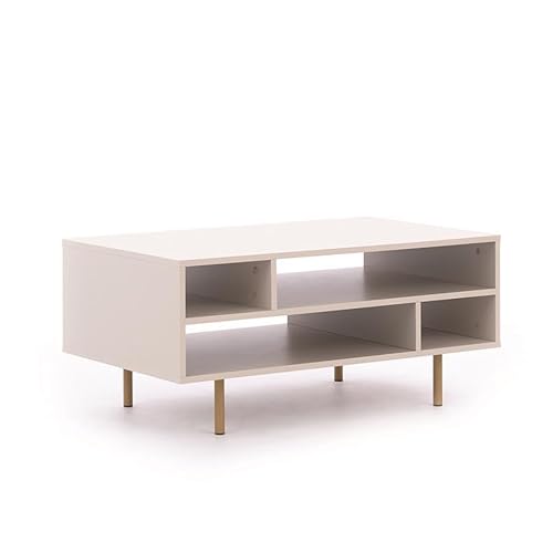 BETTSO - Couchtisch Kaschmir - Couchtisch mit Stauraum - 100cm breit, 45cm hoch - Beistelltisch, Kleiner Tisch für Wohnzimmer - mit hohen goldenen Beinen BETTSO - Couchtisch Kaschmir - Couchtisch mit Stauraum - 100cm breit, 45cm hoch - Beistelltisch, Kleiner Tisch für Wohnzimmer - mit hohen goldenen Beinen von BETTSO
