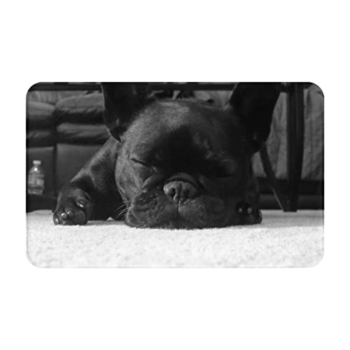 BEULSI Area Rug Französische Bulldogge Boden Anti-Rutsch-Fußmatte, Badezimmerteppich, dünne Fußmatte, saugfähig, waschbar, für Küche, Wohnzimmer, Badezimmer, 50 x 80 cm von BEULSI