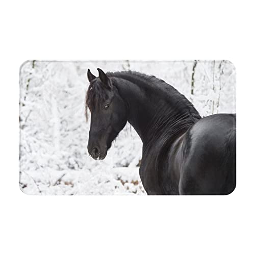 BEULSI Area Rug Schwarz Friesian Sport Pferd Boden Anti-Rutsch Willkommen Fußmatte, Badezimmerteppich, dünne Fußmatte, saugfähig, waschbar, für Küche, Wohnzimmer, Badezimmer, 50 x 80 cm von BEULSI