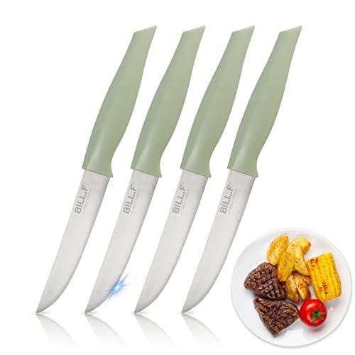 Bill.F Edelstahl Steakmesser Set 4-teilig - Steak Messerset Steakbesteck Set - Steak Messer Steak Besteck Set - Steak Knives Set, Rindfleisch Schneiden, Messerset für Familie- Grün von BF BILL.F SINCE 1983