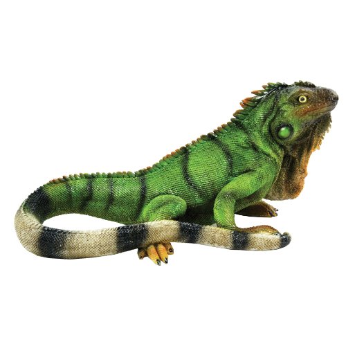 BFG Supply Michael Carr Designs Iguana S Reptile Collection – Outdoor Eidechse Figur für Gärten, Terrassen und Rasen (80059), Grün von Michael Carr Designs