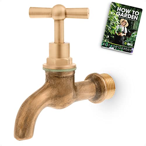 BFG Wasserhahn für Schlauchanschluss, Wasserhahn, 1/2" BSP Einlass - Vintage Stil Messing Poliert, Pilzventil, Außenhahn für Gartenschlauch von BFG