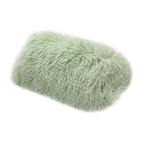BFNDSSEOU Hunde Matratze Hunde Training Matratze Plush Pet Blankets Multicolor 1 pcs(Green) von BFNDSSEOU
