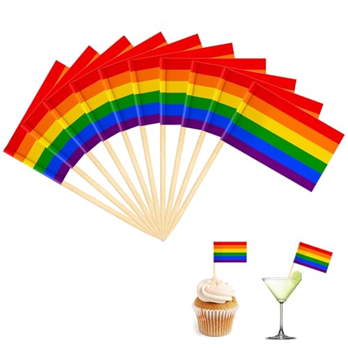 Flagge Zahnstocher,Länderdeko Abend Flaggen,Cocktail-Stäbchen,Cupcake Topper,Cocktailspieße,Obstspieße,Bunte Kraftpapier,Verschiedene Lebensmittel Toothpick Flags für Party,Fest (Bunt) von BFUZXY