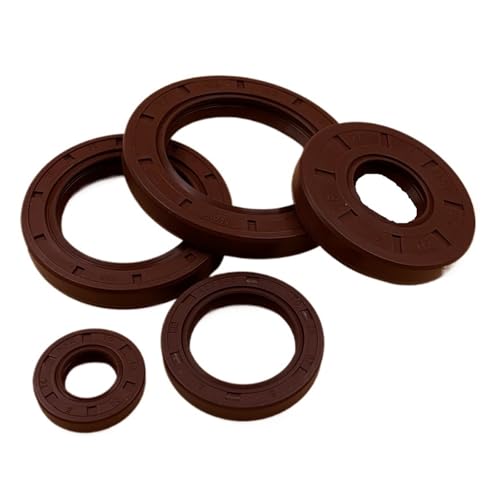 5 * 15 * 6 5x15x6 5 * 16 * 6 5x16x6 6 * 15 * 4 6x15x4 FKM Gummi 2 Lip Frühling TC Ring Dichtung Radial Welle Skelett Öl Dichtung(4Piece 5x15x6) von BFXXF