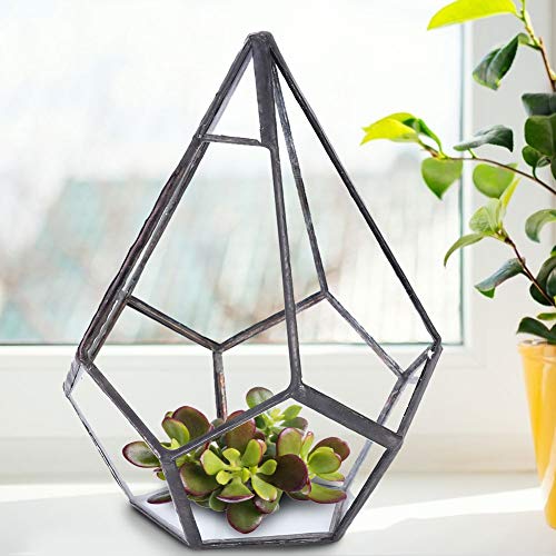 BFYDOAA Geometrisches Terrarium, Klares Glas, Rautenform, Tisch-Pflanzgefäß für Luftpflanzen, Sukkulenten, Farn, Moos, DIY-Miniatur-Feengarten von BFYDOAA