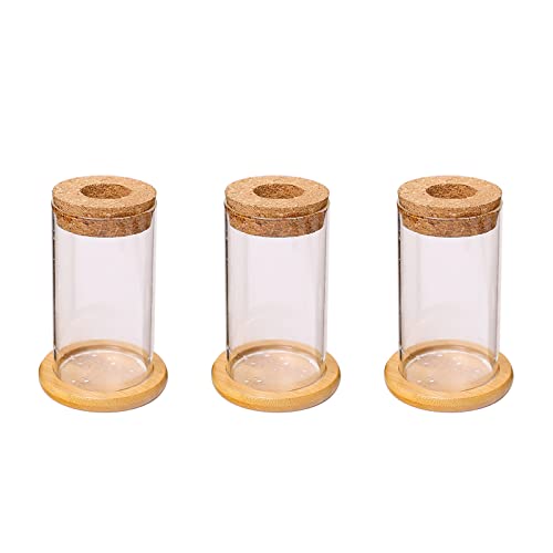 BFYDOAA Pflanzenvermehrungsstation, 3-teiliges Desktop-Glas-Pflanzgefäß, Wasserpflanzen-Anzuchtgläser, Hydrokultur-Terrarium für Gartenbegeisterte, Geschenk(3er-Set) von BFYDOAA