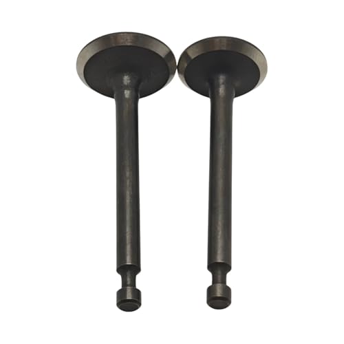 Einlass-Einlass-Auslassventil-Federhalter-Kit for GX35 for GX35NT 4-Takt-Trimmer-Rasenmäher-Freischneider Einlass-Einlass-Auslassventil-Federhalter-Kit for GX35 for GX35NT 4-Takt-Trimmer-Rasenmäher-Freischneider von BGDIEAKIN