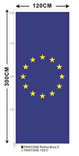 BGF Fahne Europa 120 x 300 cm Hochformat EU Flagge Europarat Europe Flag für Fahnenmasten mit Ausleger von BGF