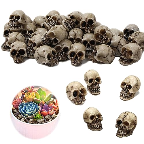 20PCS Halloween Mini Totenkopf Figur, Mini Schädel, Mini Totenkopf Model Schädel Modell, Mini-Schädelköpfe Blumentopf-Dekoration, für Spukhaus, Halloween Horror Party, Dekoration für Halloween 20PCS Halloween Mini Totenkopf Figur, Mini Schädel, Mini Totenkopf Model Schädel Modell, Mini-Schädelköpfe Blumentopf-Dekoration, für Spukhaus, Halloween Horror Party, Dekoration für Halloween von BGNXHYB