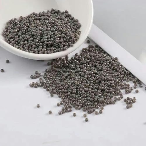 2 mm 11/0 lackierte Farben Glas-Abstandsperlen DIY tschechische Perlen 1000 Stück-D-Grau-2 mm 1000 Stück 2 mm 11/0 lackierte Farben Glas-Abstandsperlen DIY tschechische Perlen 1000 Stück-D-Grau-2 mm 1000 Stück von BGPFJK
