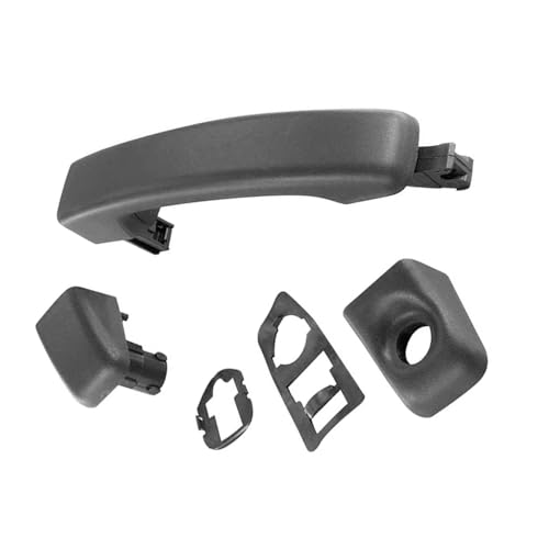 BGRVCKS Auto-Außentürgriffe Für Vauxhall Für Movano 2010 2011 2012 2013 2014 2015 2016 806073022R Außenschiebetürgriff von BGRVCKS