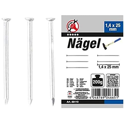 BGS Diy 88110 | Nägel-Sortiment | 200 g | 1,4 x 25 mm von BGS Do it yourself